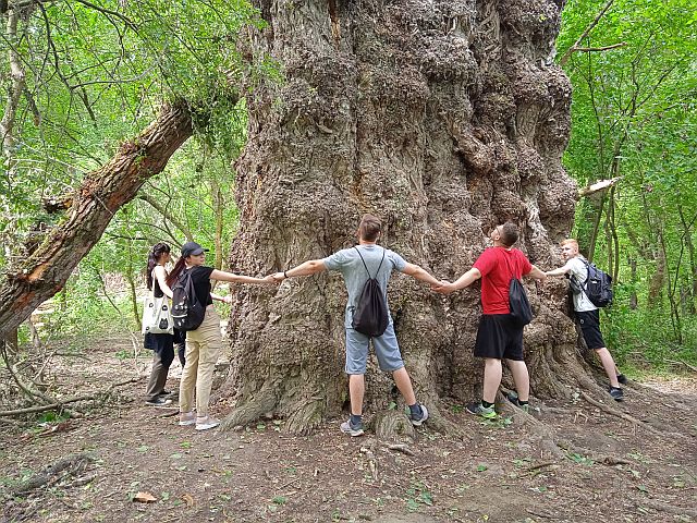 Kirándulás a Pörbölyi Titánhoz.
