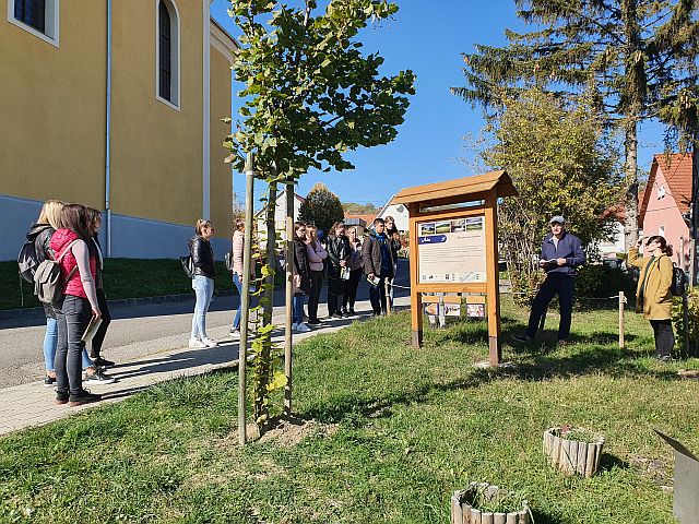 Őszi tanösvény-látogatás az EJF szervezésében.