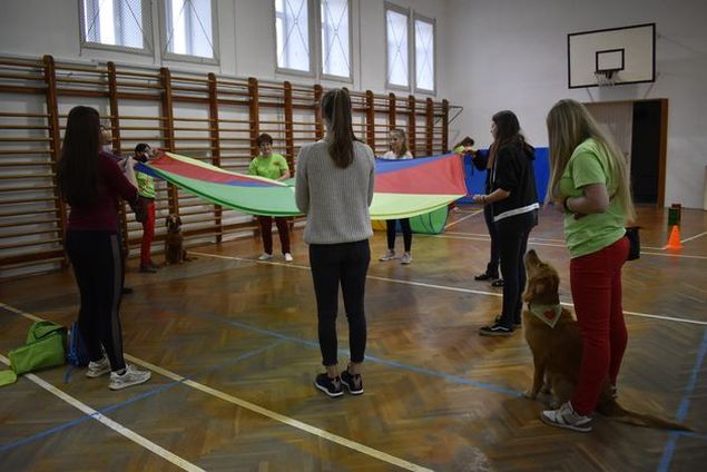 Kutyaterápiás bemutató.