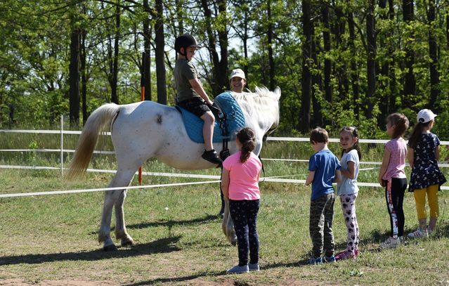 Óvodások és főiskolások a Panni Farmon.