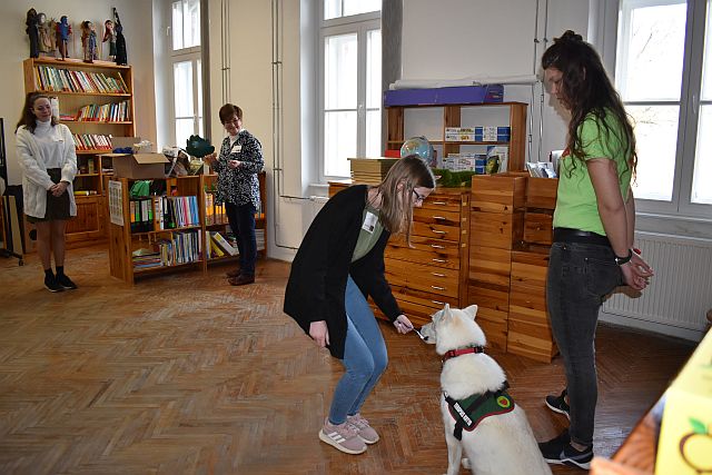 Állatasszisztált foglalkozás az EJF-en.