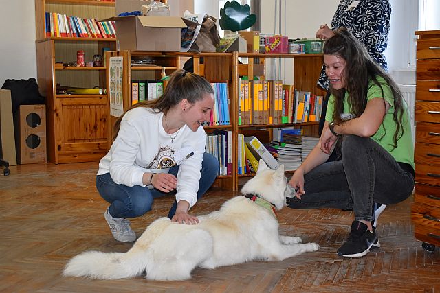 Állatasszisztált foglalkozás az EJF-en.