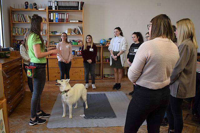 Állatasszisztált foglalkozás az EJF-en.