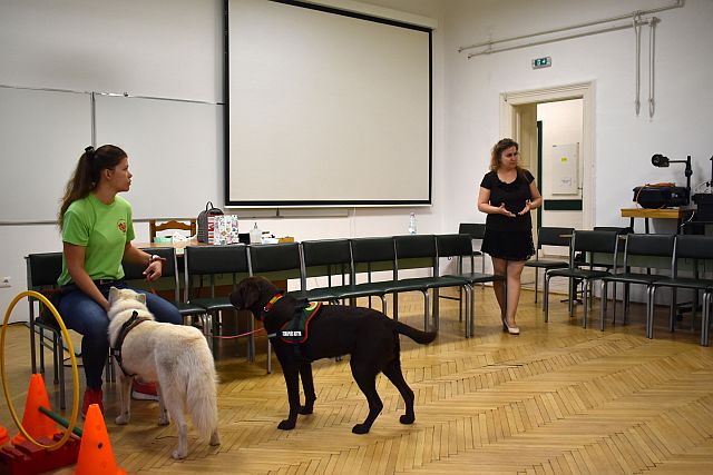 Állatasszisztált foglalkozás az EJF-en.