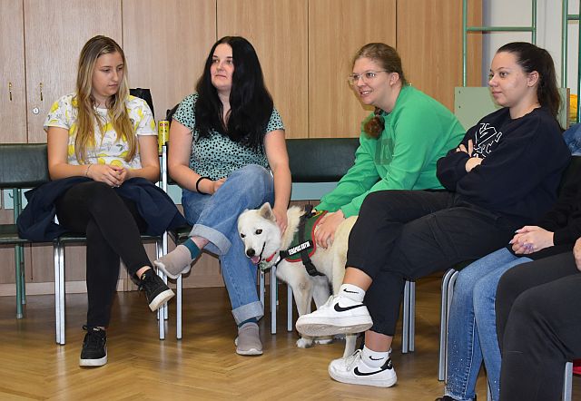 Állatasszisztált foglalkozás az EJF-en.