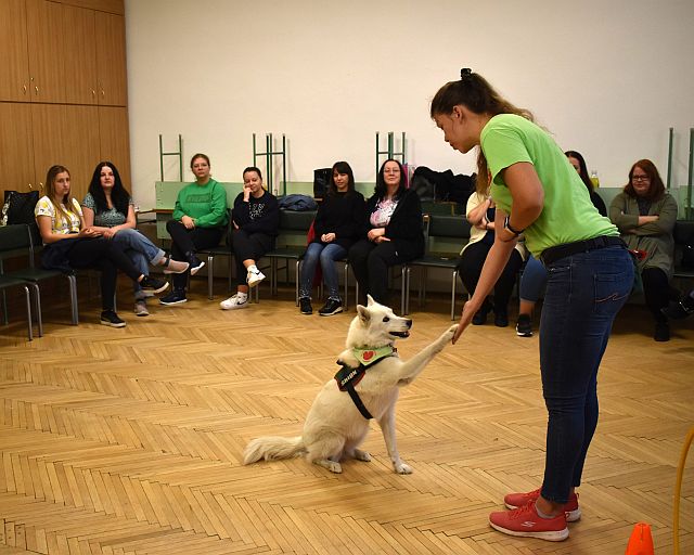 Állatasszisztált foglalkozás az EJF-en.
