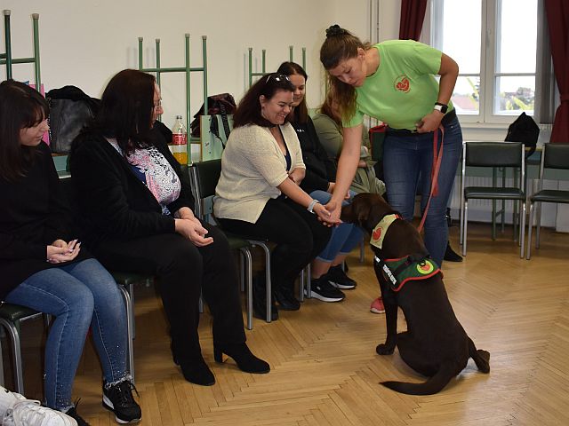 Állatasszisztált foglalkozás az EJF-en.