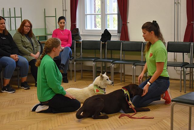 Állatasszisztált foglalkozás az EJF-en.