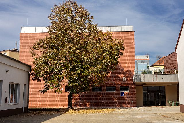 A főiskola "B" épülete a belső udvar felől.