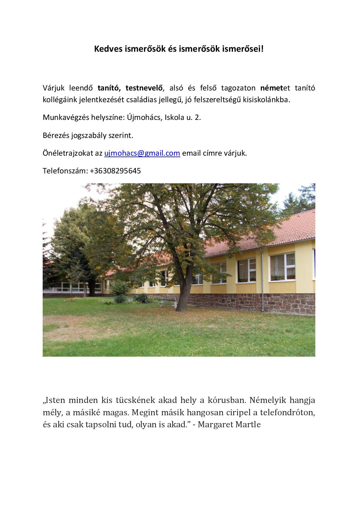 Az álláshirdetés részletei.