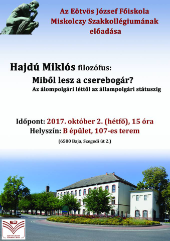 Miből lesz a cserebogár - plakát